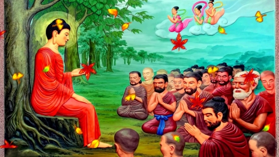 Đức Phật giảng dạy về Kinh Nhân Quả